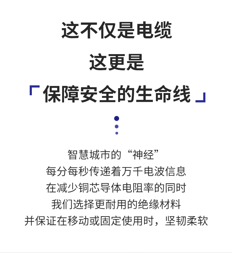 安普RVV電線護套線2芯國標純銅0.5/0.75/1/1.5/2.5平方電纜電源線